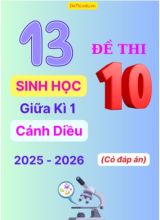Tuyển tập 13 Đề thi giữa kì 1 năm học 2025-2026 môn Sinh học 10 Cánh Diều (Kèm đáp án)